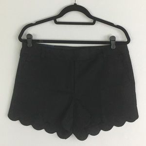 NWT!  J Crew Black Scallop Shorts in Size 10!